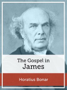 Baixar The Gospel in James (English Edition) pdf, epub, eBook