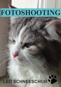Baixar Fotoshooting mit Leo Schneeschuh (German Edition) pdf, epub, eBook