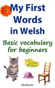 Baixar My First Words in Welsh: Basic vocabulary for beginners (Learn Welsh Book 1) (English Edition) pdf, epub, eBook