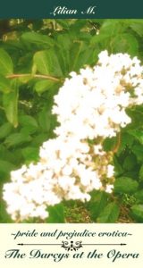 Baixar Pemberley Interludes: The Darcys at the Opera (English Edition) pdf, epub, eBook