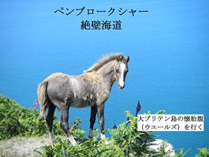 Baixar Pembrokeshire Coast Path: Walking Pembrokeshire Coast Path of Wales in Great Britain (Japanese Edition) pdf, epub, eBook