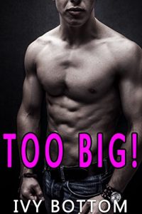 Baixar Too Big: A Gay Romance (English Edition) pdf, epub, eBook