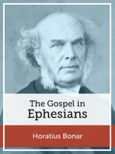 Baixar The Gospel in Ephesians (English Edition) pdf, epub, eBook