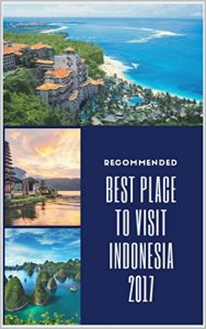 Baixar 15 Best Places to Visit in Indonesia (English Edition) pdf, epub, eBook