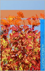 Baixar The fifith season (Japanese Edition) pdf, epub, eBook