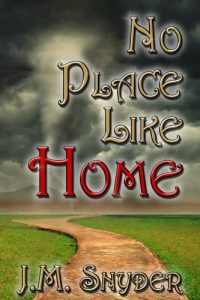 Baixar No Place Like Home (Vic and Matt Book 16) (English Edition) pdf, epub, eBook