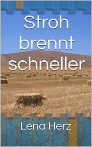Baixar Stroh brennt schneller (German Edition) pdf, epub, eBook