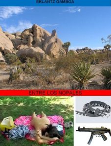 Baixar ENTRE LOS NOPALES (Spanish Edition) pdf, epub, eBook