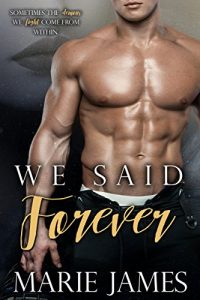Baixar We Said Forever (English Edition) pdf, epub, eBook