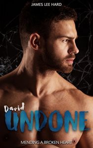 Baixar David Undone: Mending a Broken Heart (English Edition) pdf, epub, eBook