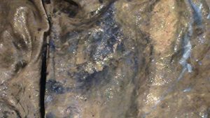 Baixar UNE PAGE DE MA VIE.. (French Edition) pdf, epub, eBook