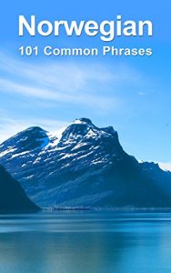 Baixar Norwegian: 101 Common Phrases (English Edition) pdf, epub, eBook
