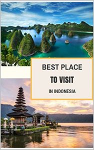 Baixar Bali Tourist Destination (English Edition) pdf, epub, eBook