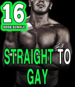 Baixar Straight to Gay: 16 Steamy Books of First Times (English Edition) pdf, epub, eBook
