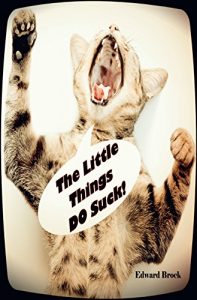 Baixar The Little Things DO Suck! (English Edition) pdf, epub, eBook