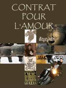 Baixar Contrat pour l’amour (French Edition) pdf, epub, eBook