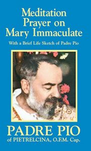 Baixar Meditation Prayer on Mary Immaculate (English Edition) pdf, epub, eBook