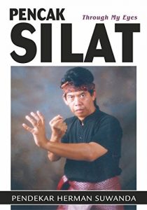 Baixar Pencak Silat: Through My Eyes (English Edition) pdf, epub, eBook