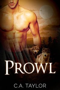 Baixar Prowl (The Pierce Brothers Book 2) (English Edition) pdf, epub, eBook