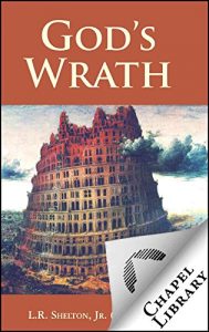 Baixar God’s Wrath (English Edition) pdf, epub, eBook