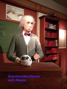 Baixar MOASI- Wilde Gaunerabenteuer pdf, epub, eBook