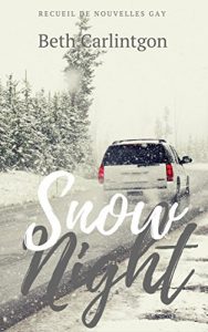 Baixar [Romance Gay] Snow Night (French Edition) pdf, epub, eBook
