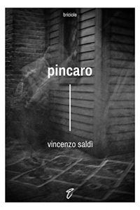 Baixar Pincaro (Briciole) pdf, epub, eBook