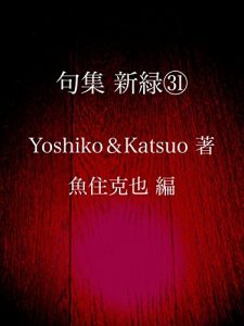 Baixar kushuu shinryoku sanjuuichi (Japanese Edition) pdf, epub, eBook
