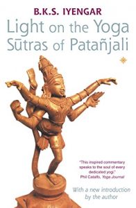 Baixar Light on the Yoga Sutras of Patanjali pdf, epub, eBook