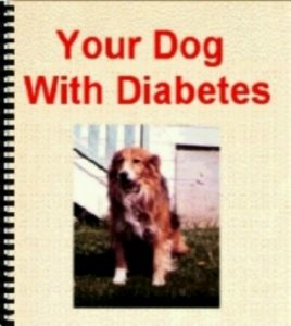 Baixar Your Dog With Diabetes (English Edition) pdf, epub, eBook