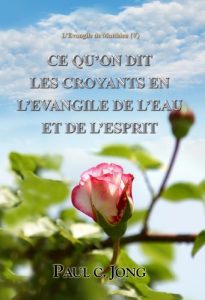 Baixar L’Evangile de Matthieu (V)  – CE QU’ON DIT LES CROYANTS EN (French Edition) pdf, epub, eBook