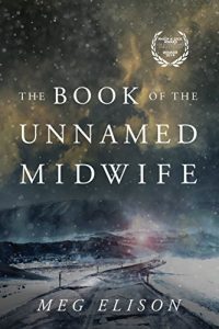 Baixar The Book of the Unnamed Midwife (The Road to Nowhere 1) (English Edition) pdf, epub, eBook