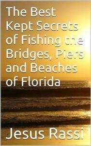 Baixar The Best Kept Secrets of Fishing the Bridges, Piers and Beaches of Florida (English Edition) pdf, epub, eBook