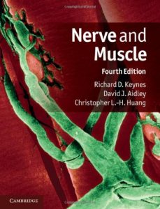 Baixar Nerve and Muscle pdf, epub, eBook