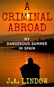 Baixar A Criminal Abroad: My Dangerous Summer in Spain (English Edition) pdf, epub, eBook