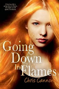 Baixar Going Down in Flames pdf, epub, eBook