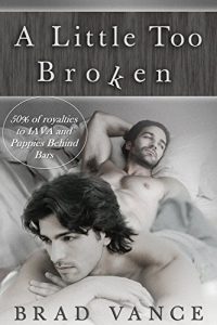 Baixar A Little Too Broken (English Edition) pdf, epub, eBook