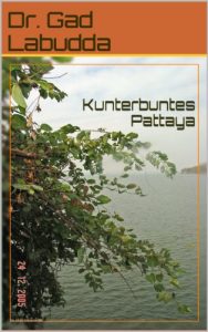 Baixar Kunterbuntes Pattaya (German Edition) pdf, epub, eBook