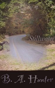 Baixar Stillwater (English Edition) pdf, epub, eBook