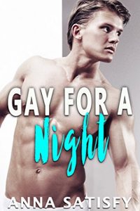 Baixar Gay For A Night (English Edition) pdf, epub, eBook