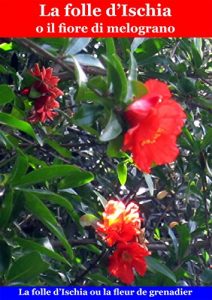 Baixar La folle d’Ischia o il fiore di melograno pdf, epub, eBook