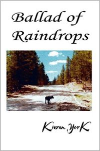 Baixar Ballad of Raindrops (English Edition) pdf, epub, eBook