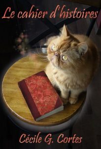 Baixar Le cahier d’histoires (French Edition) pdf, epub, eBook