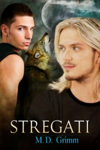 Baixar Stregati (I mutaforma Vol. 1) (Italian Edition) pdf, epub, eBook