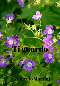 Baixar Ti guardo (Italian Edition) pdf, epub, eBook