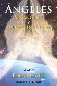 Baixar Angeles, Arcangeles y Fuerzas Invisibles pdf, epub, eBook