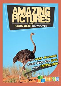 Baixar Amazing Pictures and Facts About Ostriches: The Most Amazing Fact Book for Kids About Ostriches (English Edition) pdf, epub, eBook