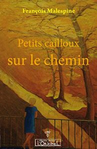 Baixar Petits cailloux sur le chemin: Une aide profonde sur le chemin spirituel (French Edition) pdf, epub, eBook
