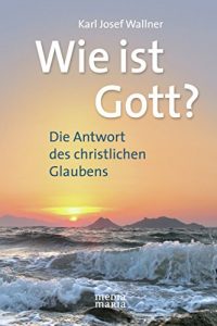 Baixar Wie ist Gott?: Die Antwort des christlichen Glaubens (German Edition) pdf, epub, eBook