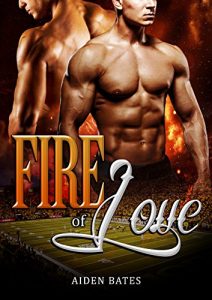 Baixar Fire of Love (English Edition) pdf, epub, eBook